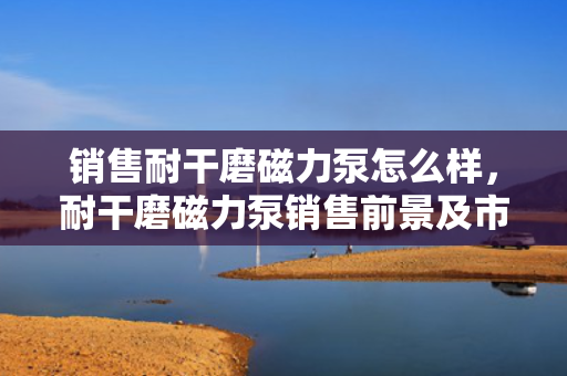 销售耐干磨磁力泵怎么样，耐干磨磁力泵销售前景及市场优势分析