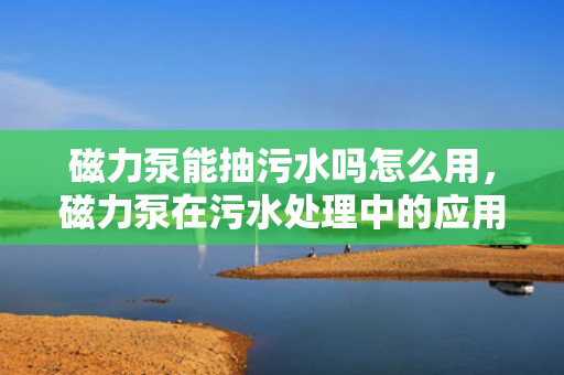 磁力泵能抽污水吗怎么用，磁力泵在污水处理中的应用方法与注意事项