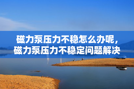 磁力泵压力不稳怎么办呢，磁力泵压力不稳定问题解决方案