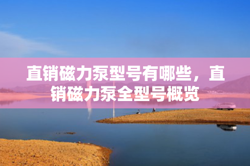 直销磁力泵型号有哪些，直销磁力泵全型号概览