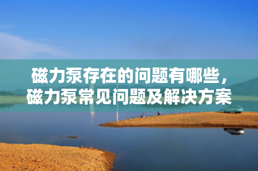 磁力泵存在的问题有哪些，磁力泵常见问题及解决方案