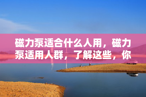 磁力泵适合什么人用，磁力泵适用人群，了解这些，你就知道是否适合使用磁力泵了