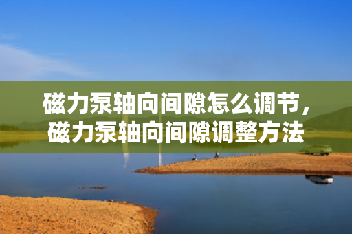 磁力泵轴向间隙怎么调节，磁力泵轴向间隙调整方法