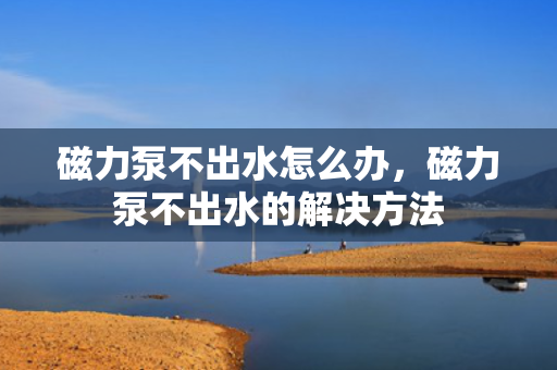 磁力泵不出水怎么办，磁力泵不出水的解决方法