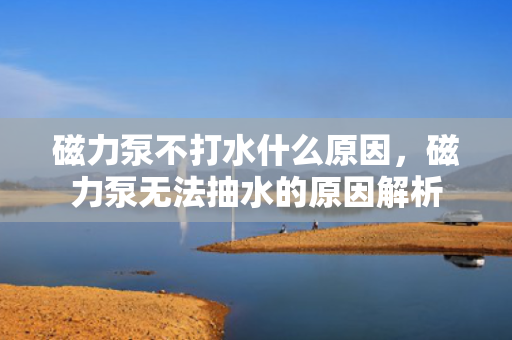 磁力泵不打水什么原因，磁力泵无法抽水的原因解析