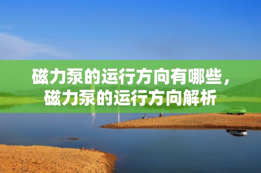 磁力泵的运行方向有哪些，磁力泵的运行方向解析