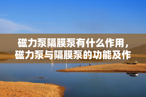 磁力泵隔膜泵有什么作用，磁力泵与隔膜泵的功能及作用解析