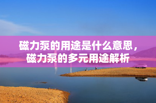 磁力泵的用途是什么意思，磁力泵的多元用途解析