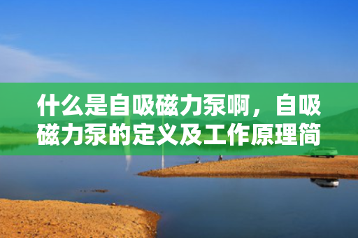 什么是自吸磁力泵啊，自吸磁力泵的定义及工作原理简介