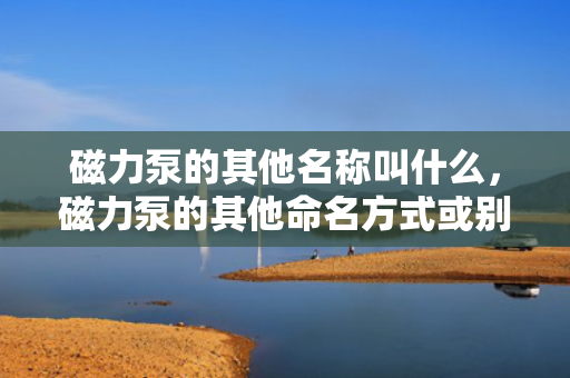 磁力泵的其他名称叫什么，磁力泵的其他命名方式或别称是什么