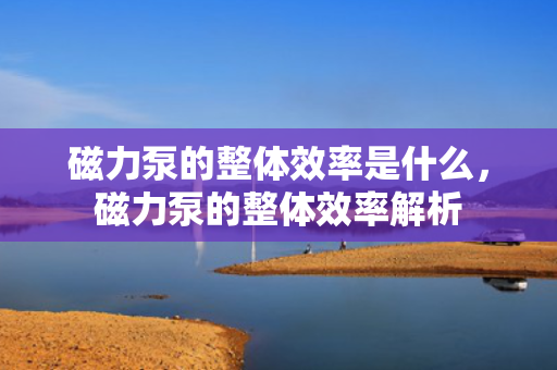 磁力泵的整体效率是什么，磁力泵的整体效率解析