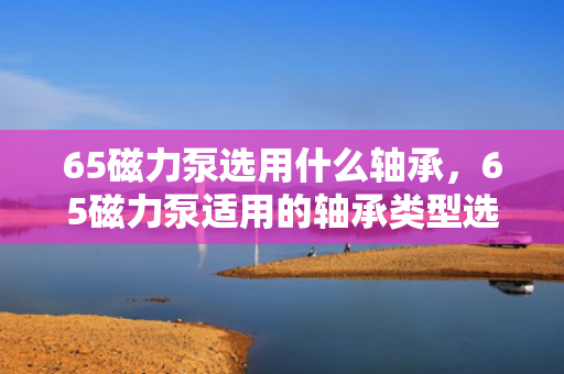 65磁力泵选用什么轴承，65磁力泵适用的轴承类型选择