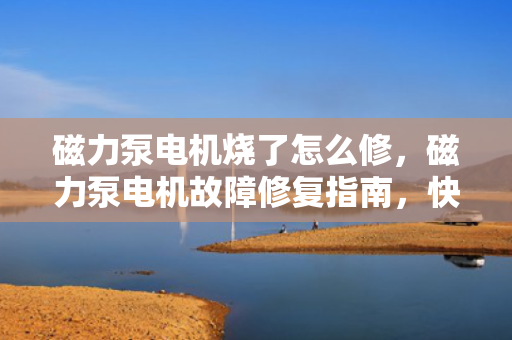 磁力泵电机烧了怎么修，磁力泵电机故障修复指南，快速解决烧毁问题