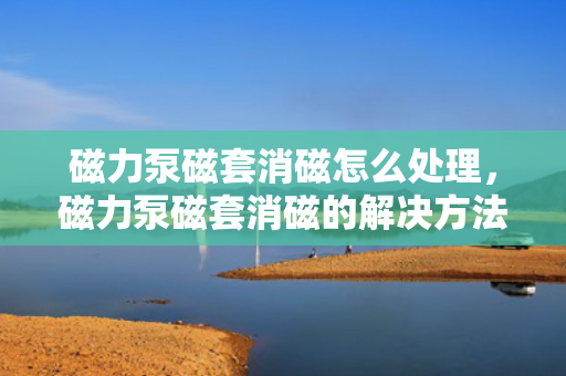 磁力泵磁套消磁怎么处理，磁力泵磁套消磁的解决方法