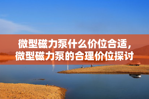 微型磁力泵什么价位合适，微型磁力泵的合理价位探讨