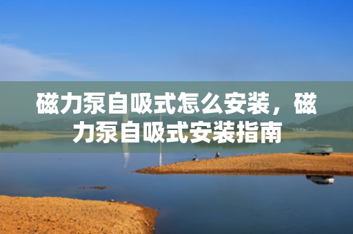 磁力泵自吸式怎么安装，磁力泵自吸式安装指南