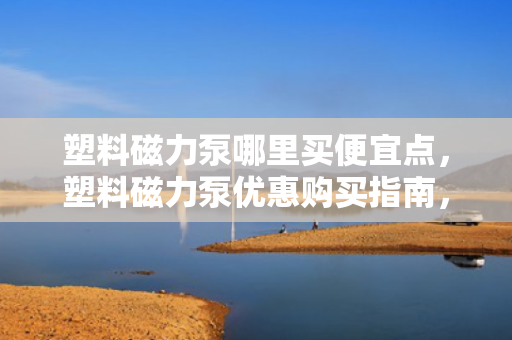 塑料磁力泵哪里买便宜点，塑料磁力泵优惠购买指南，找到最便宜的购买渠道