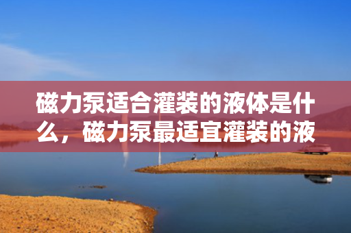 磁力泵适合灌装的液体是什么，磁力泵最适宜灌装的液体类型