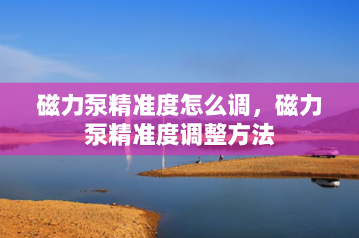 磁力泵精准度怎么调，磁力泵精准度调整方法