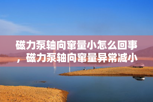 磁力泵轴向窜量小怎么回事，磁力泵轴向窜量异常减小的原因及解决方法