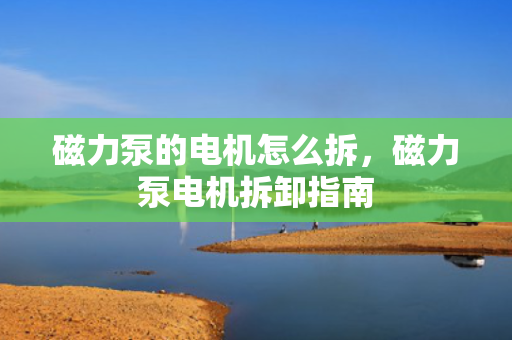 磁力泵的电机怎么拆，磁力泵电机拆卸指南