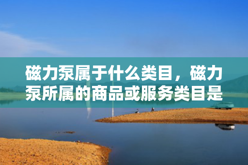 磁力泵属于什么类目，磁力泵所属的商品或服务类目是什么？