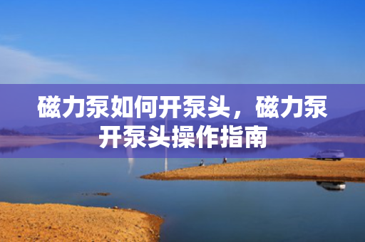 磁力泵如何开泵头，磁力泵开泵头操作指南