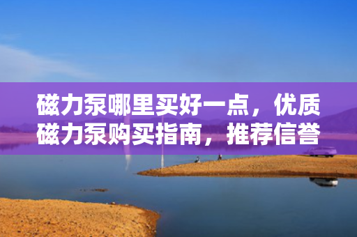磁力泵哪里买好一点，优质磁力泵购买指南，推荐信誉商家，助你轻松选购