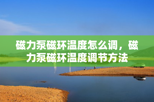 磁力泵磁环温度怎么调，磁力泵磁环温度调节方法