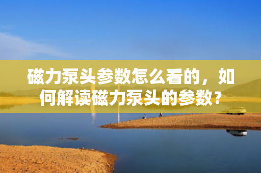 磁力泵头参数怎么看的，如何解读磁力泵头的参数？