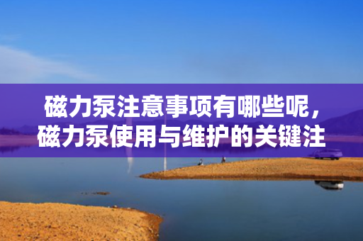 磁力泵注意事项有哪些呢，磁力泵使用与维护的关键注意事项