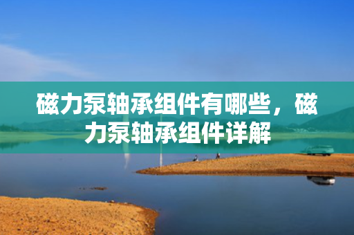 磁力泵轴承组件有哪些，磁力泵轴承组件详解