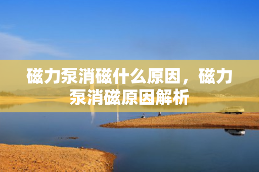 磁力泵消磁什么原因，磁力泵消磁原因解析