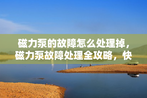 磁力泵的故障怎么处理掉，磁力泵故障处理全攻略，快速解决问题，恢复设备正常运行