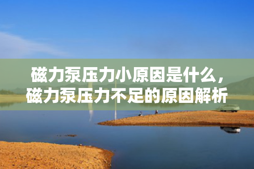 磁力泵压力小原因是什么，磁力泵压力不足的原因解析