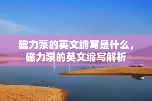 磁力泵的英文缩写是什么，磁力泵的英文缩写解析