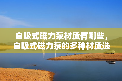 自吸式磁力泵材质有哪些，自吸式磁力泵的多种材质选择
