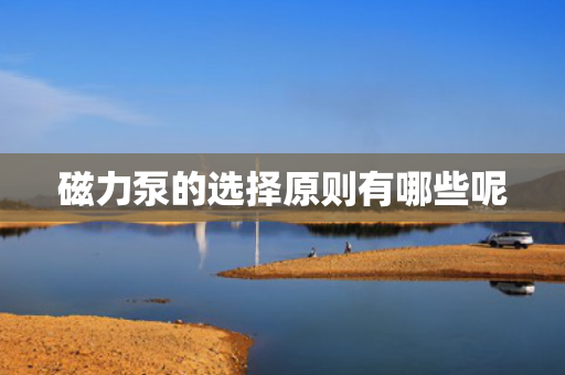 磁力泵的选择原则有哪些呢