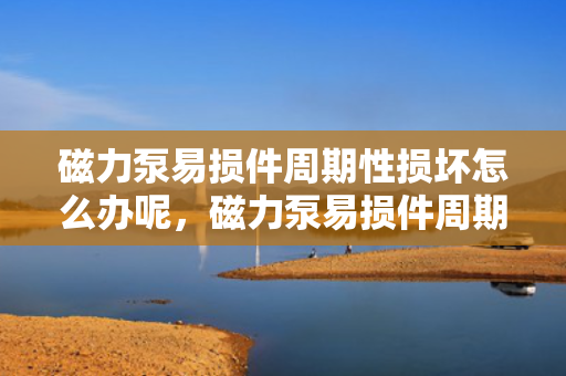 磁力泵易损件周期性损坏怎么办呢，磁力泵易损件周期性损坏解决方案