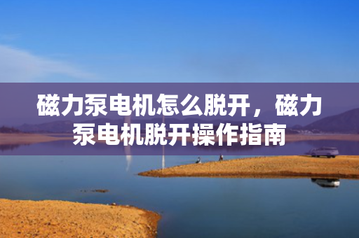 磁力泵电机怎么脱开，磁力泵电机脱开操作指南