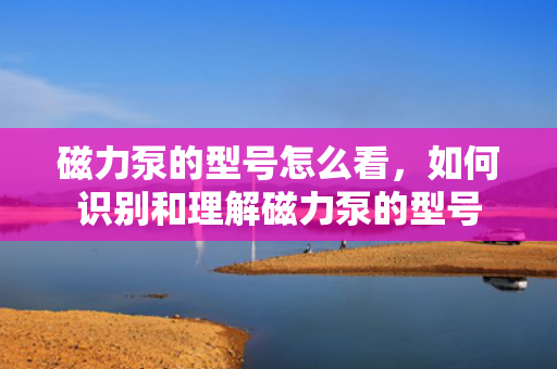 磁力泵的型号怎么看，如何识别和理解磁力泵的型号