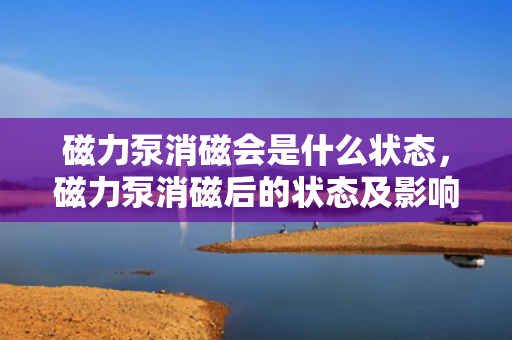 磁力泵消磁会是什么状态，磁力泵消磁后的状态及影响解析