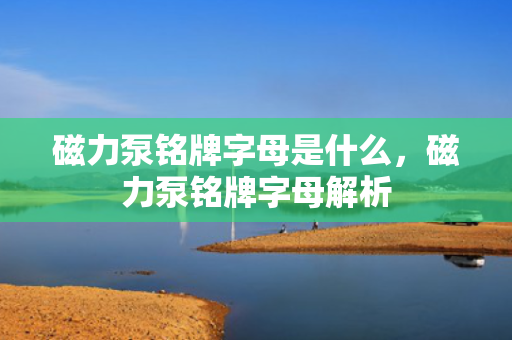 磁力泵铭牌字母是什么，磁力泵铭牌字母解析