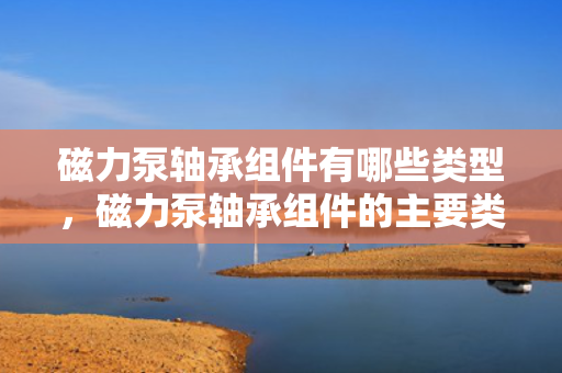 磁力泵轴承组件有哪些类型，磁力泵轴承组件的主要类型概述