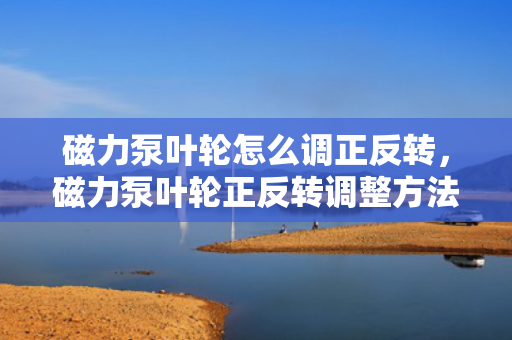 磁力泵叶轮怎么调正反转，磁力泵叶轮正反转调整方法