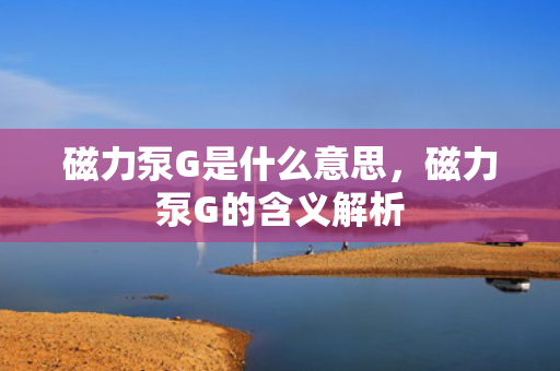 磁力泵G是什么意思，磁力泵G的含义解析