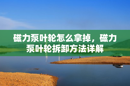 磁力泵叶轮怎么拿掉，磁力泵叶轮拆卸方法详解