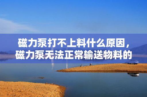 磁力泵打不上料什么原因，磁力泵无法正常输送物料的原因解析