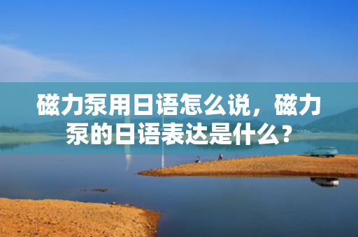 磁力泵用日语怎么说，磁力泵的日语表达是什么？