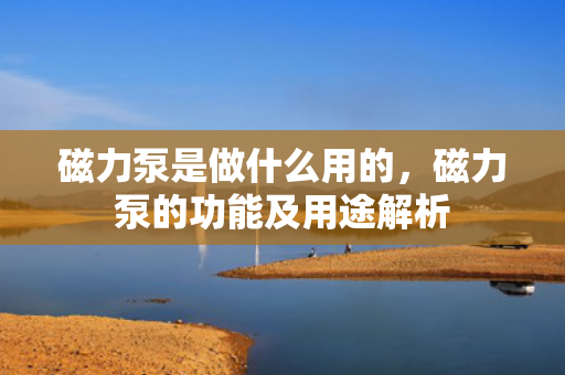 磁力泵是做什么用的，磁力泵的功能及用途解析